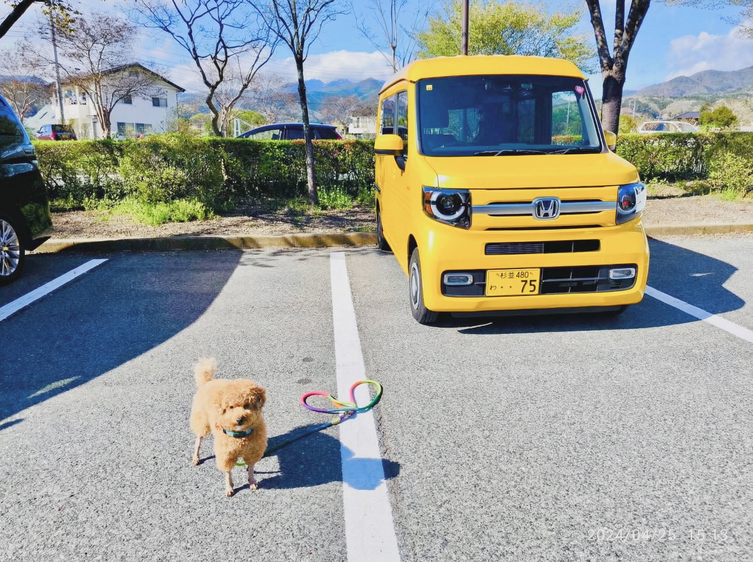 ゴールデンピッグ