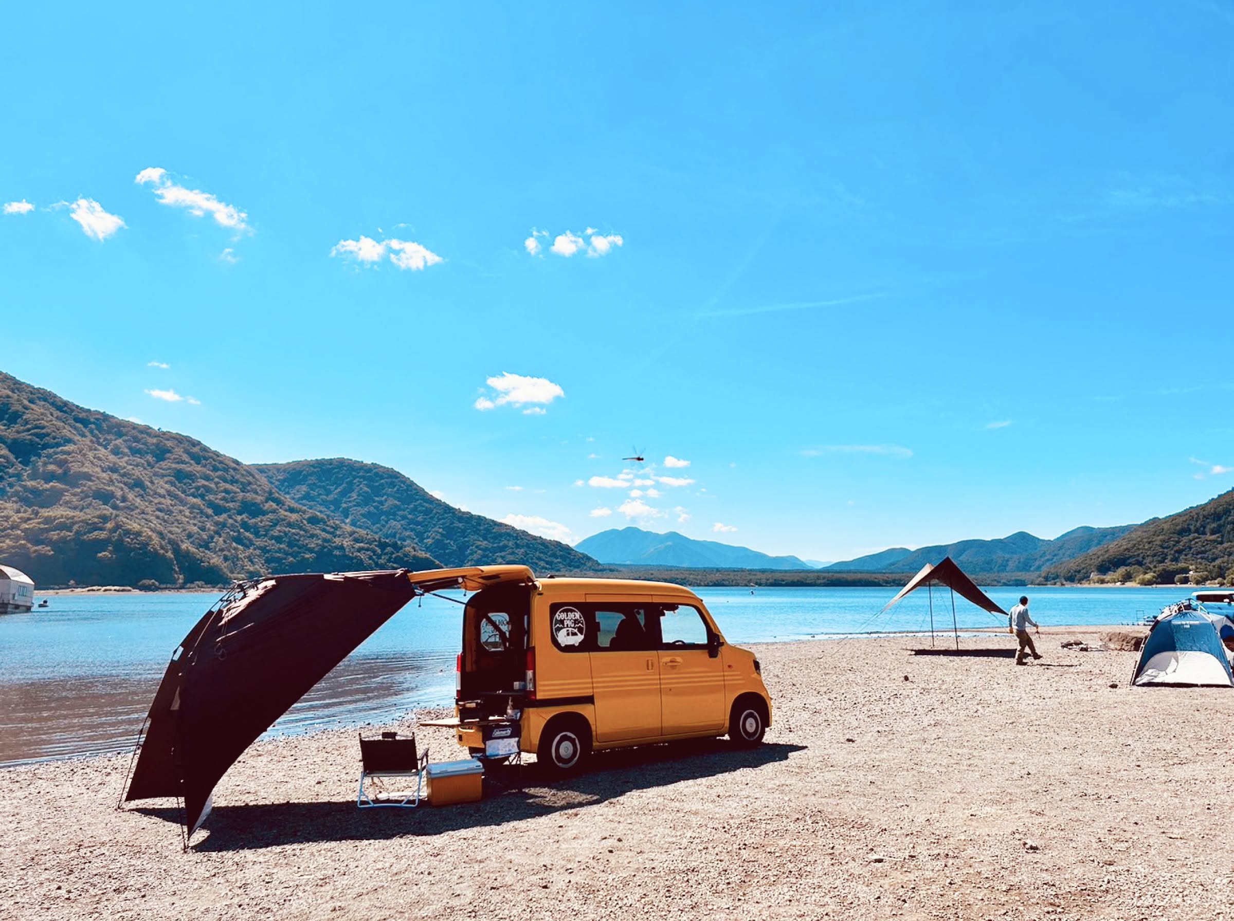 ゴールデンピッグ